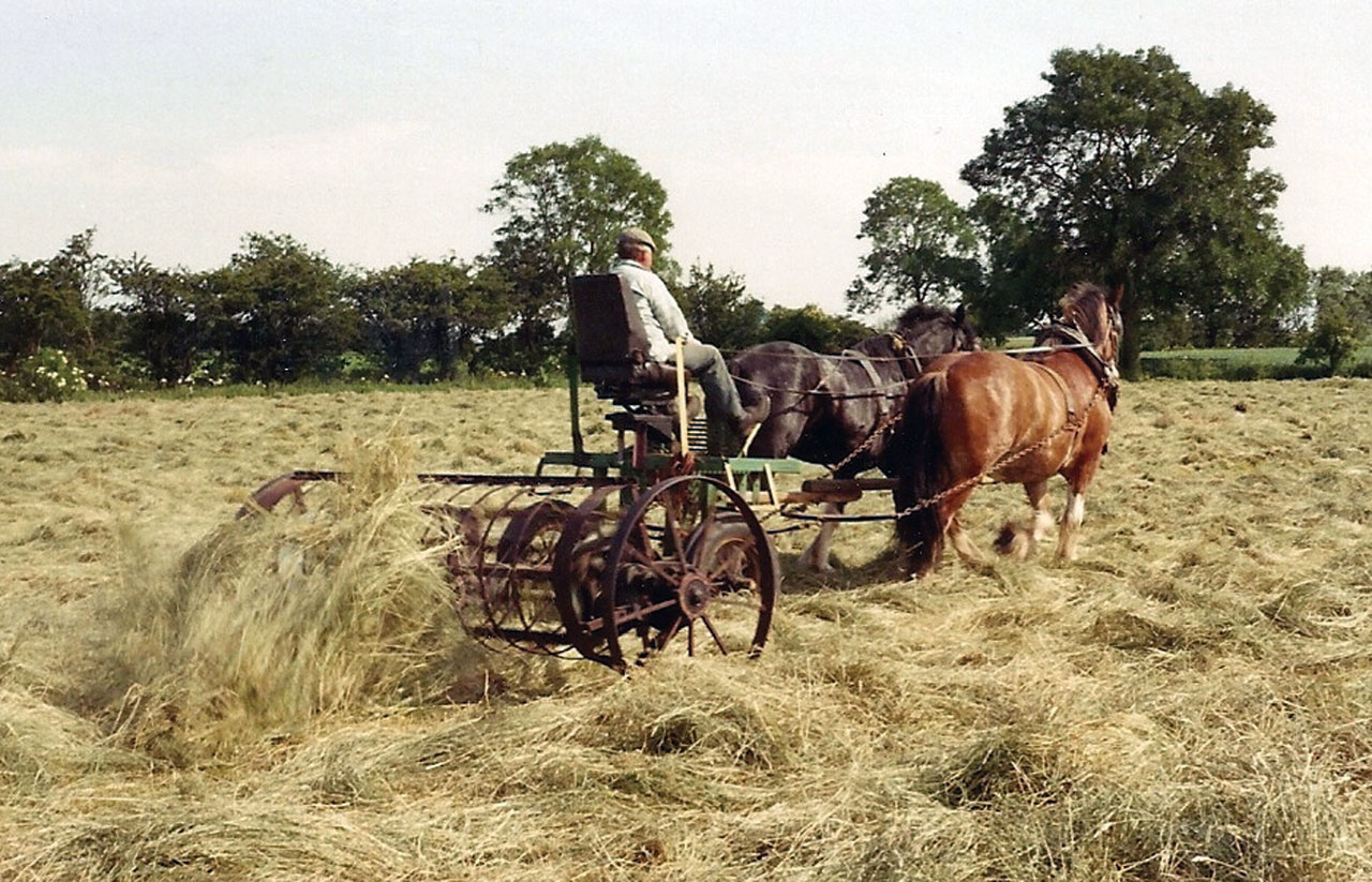 Hay Making with a Single Horse Part 1