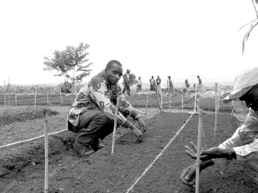 Congo Farm Project
