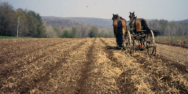 Cultivating Questions A Horsedrawn Guidance System