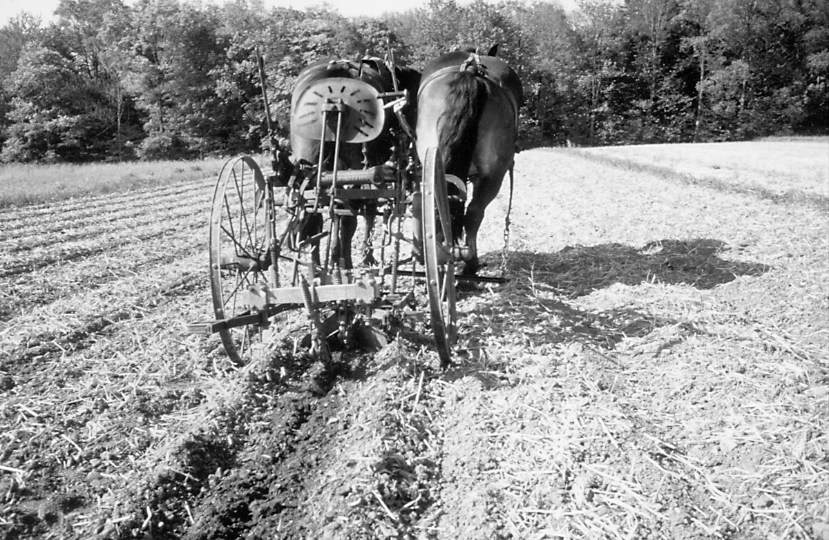 Cultivating Questions Alternative Tillage & Inter-Seeding Techniques