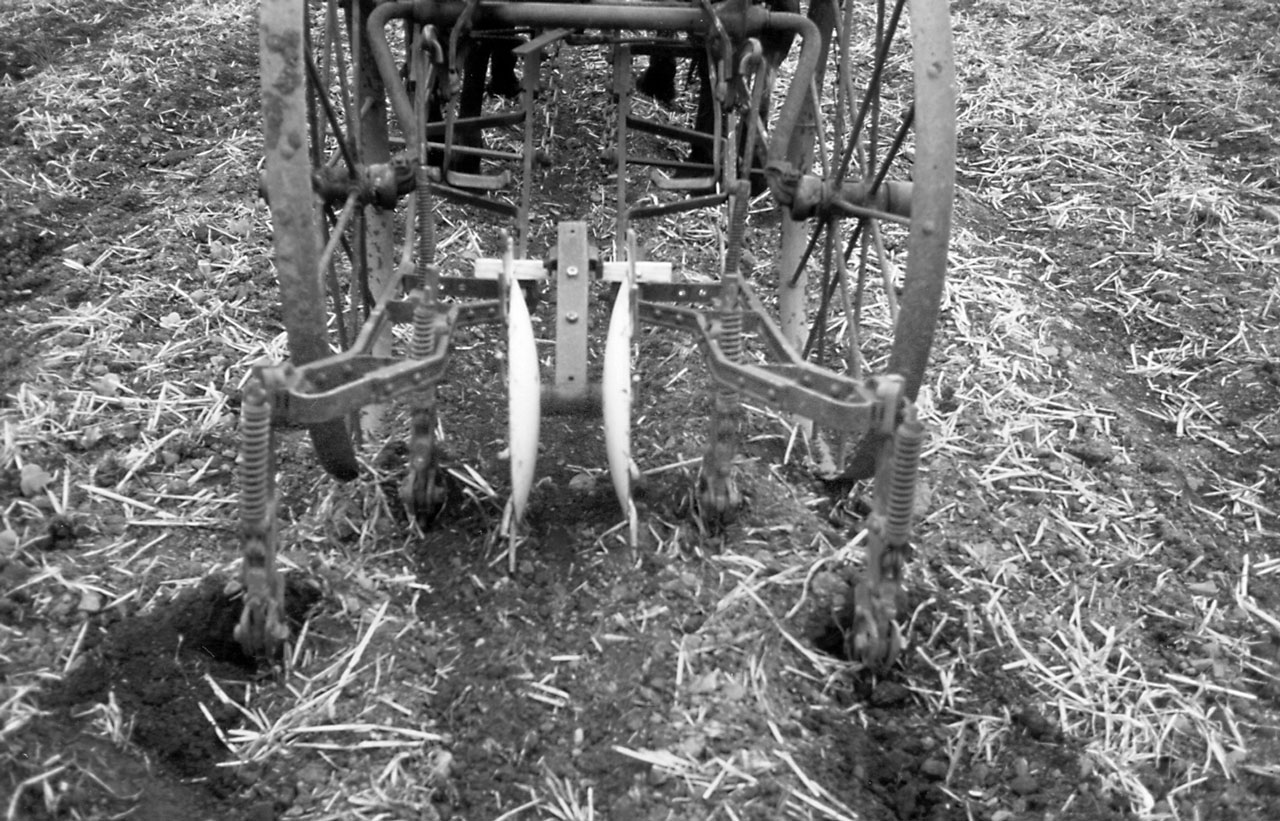 Cultivating Questions Alternative Tillage & Inter-Seeding Techniques
