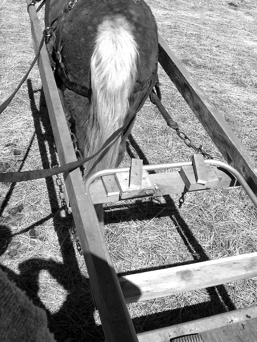 A Pony-Powered Garden Cart