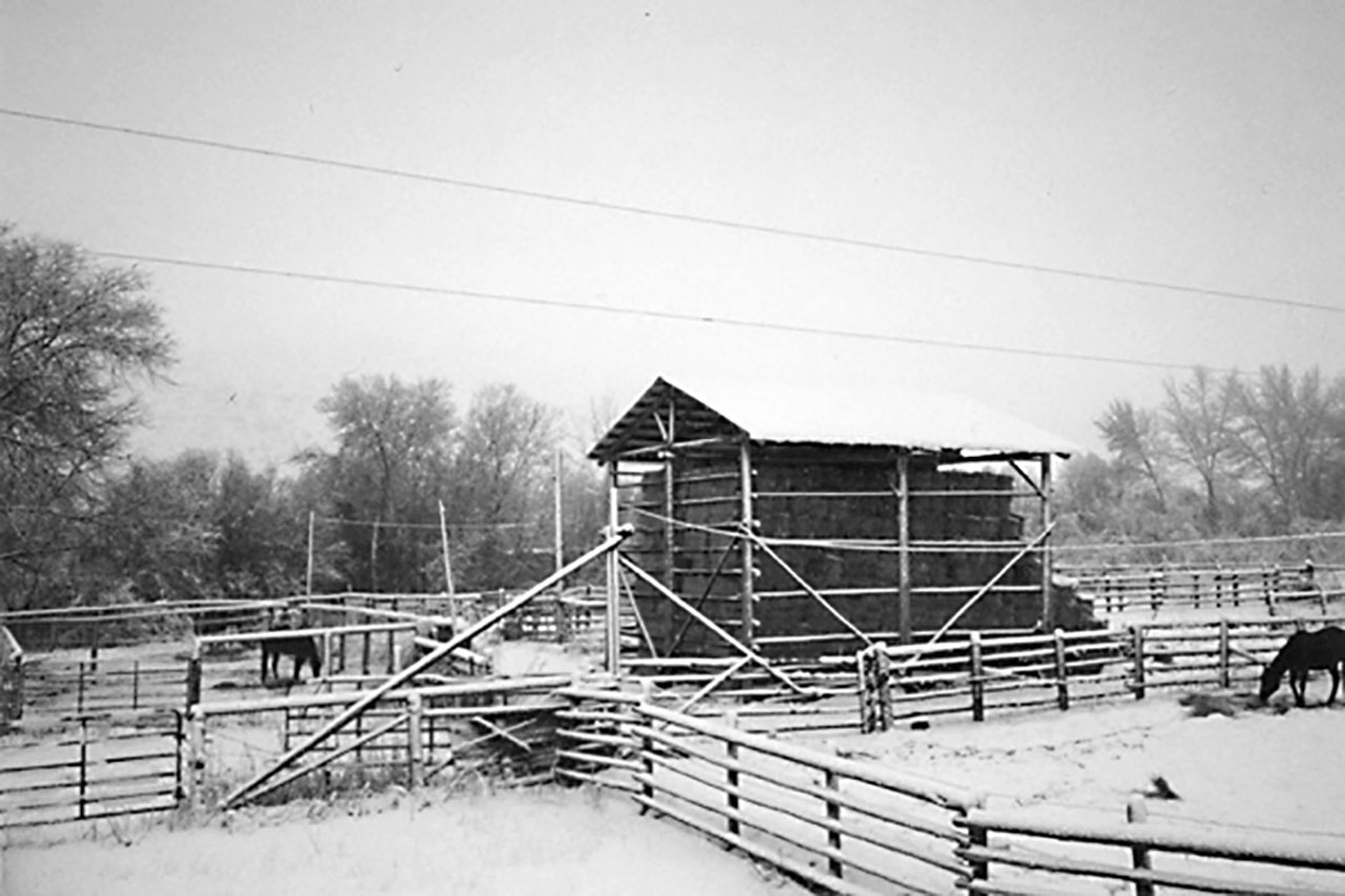 Building an Inexpensive Pole Barn