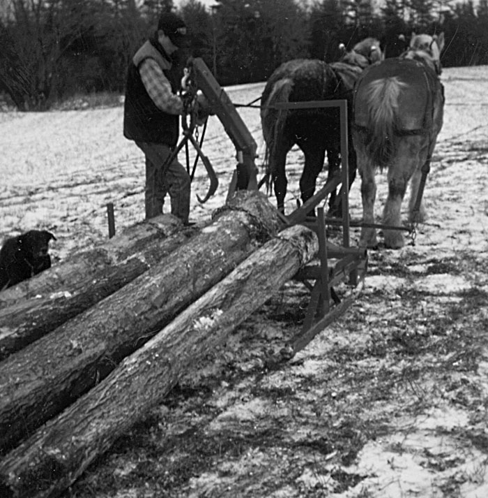 Two Log Cart Designs from Canada