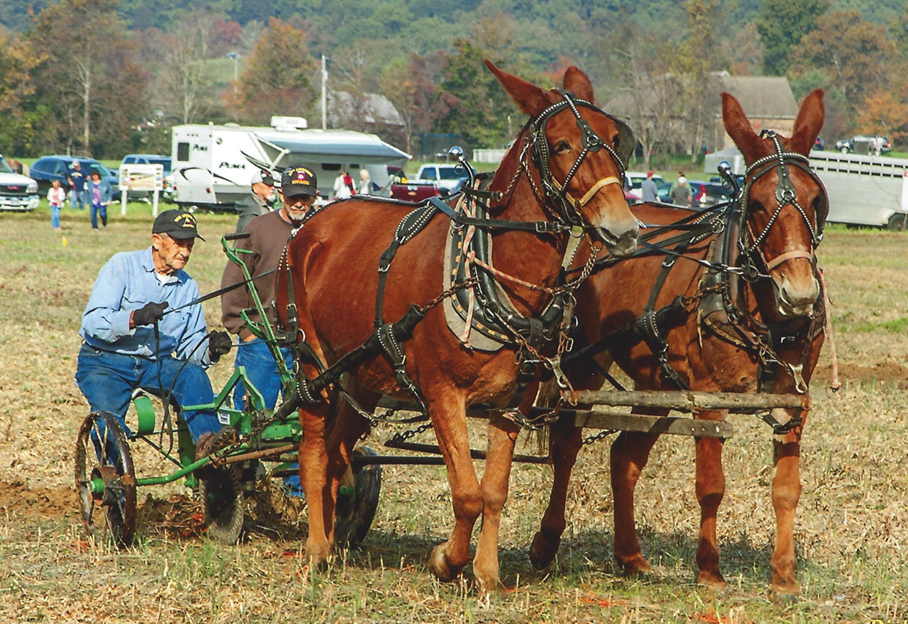 13th Annual US Draft Horse and Mule Plowing Contest
