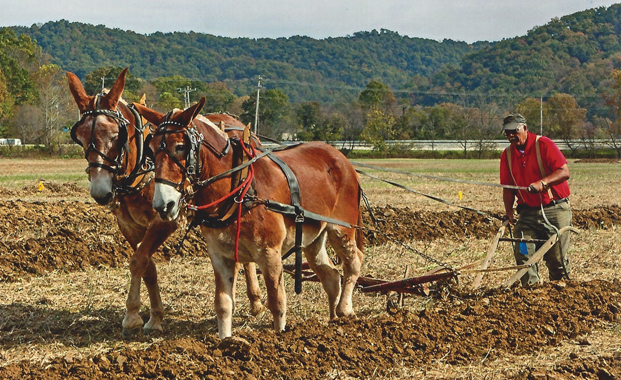 13th Annual US Draft Horse and Mule Plowing Contest