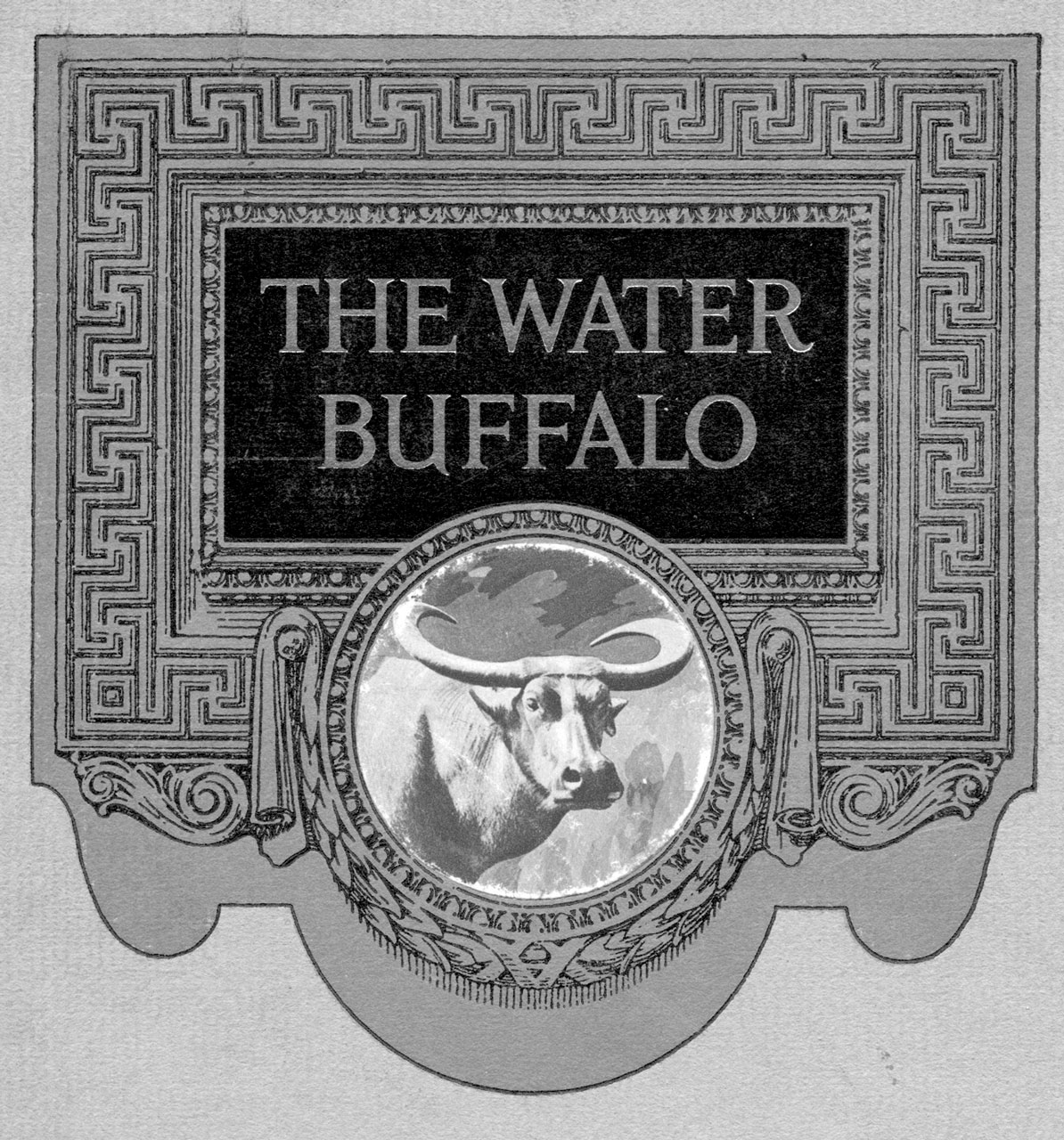 The Water Buffalo