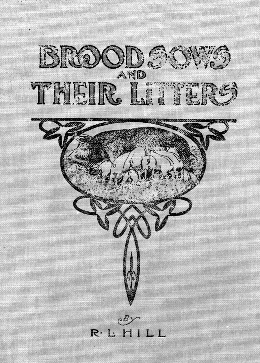 Brood Sows and their Litters
