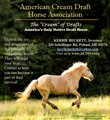 American Cream Draft Horse Association