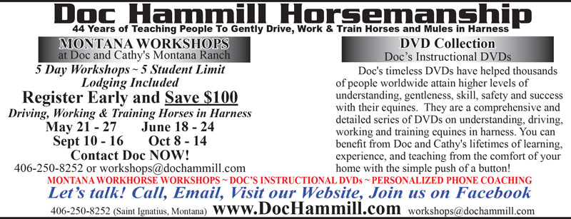 Doc Hammill Horsemanship
