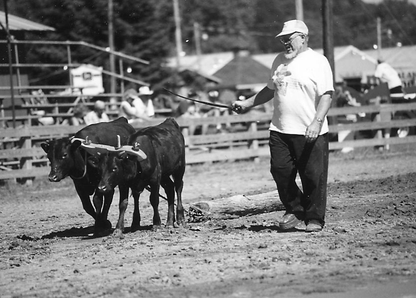 Pennsylvania Oxen Revisited