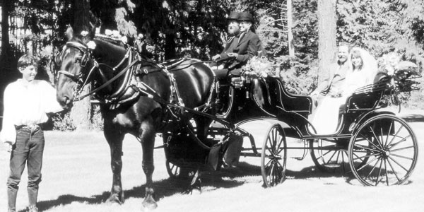 Starting a Carriage Company from Scratch