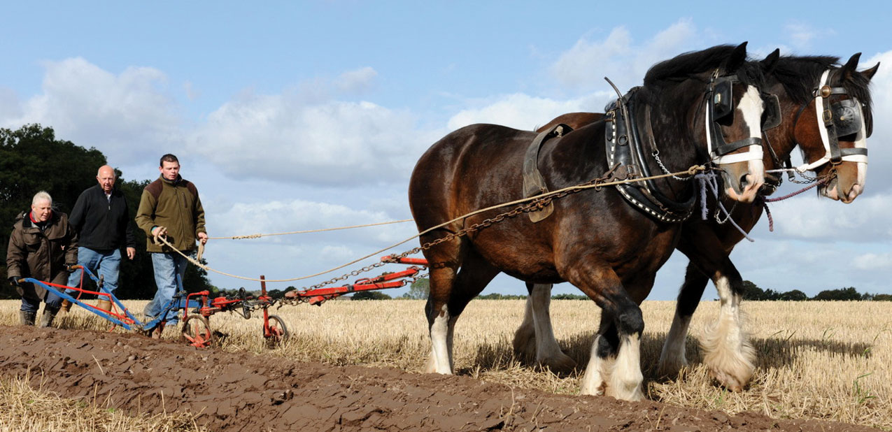 Learning to Plough