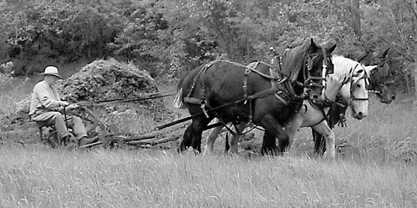The Past in the Present A Look at Historic Farming at Carriage Hill