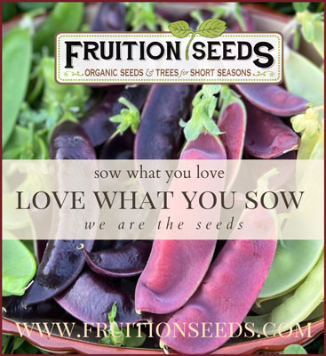Fruition Seeds