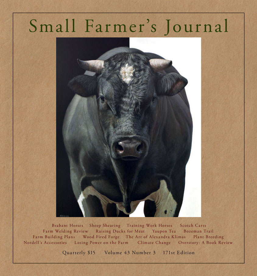 Small Farmer's Journal Volume 43 Number 3