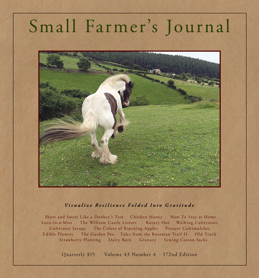 Small Farmer's Journal Volume 43 Number 4