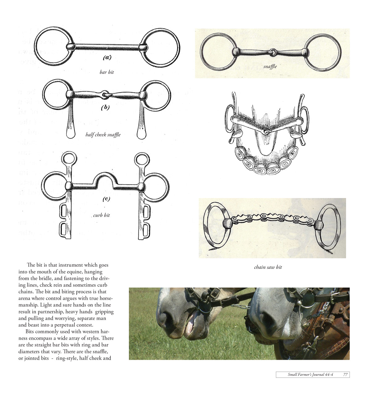 Work Horse and Mule Harness Design and Function Part 2