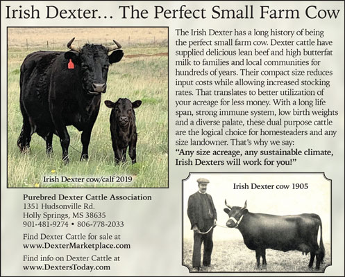 Purebred Dexter Cattle Association