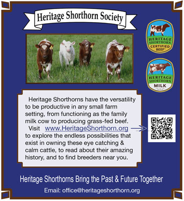 Heritage Shorthorn Society