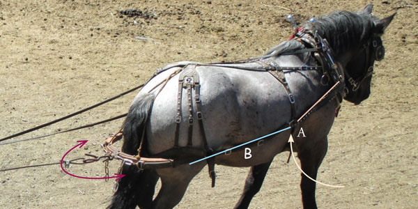 Work Horse and Mule Harness Design and Function Part 3