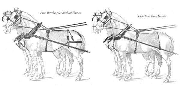 Work Harness Types and Styles