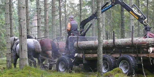 Upgrading Horse-Drawn Logging Wagons