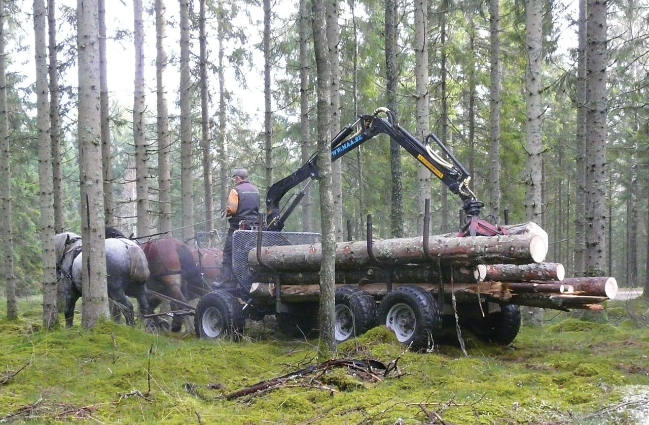 Upgrading Horse-Drawn Logging Wagons