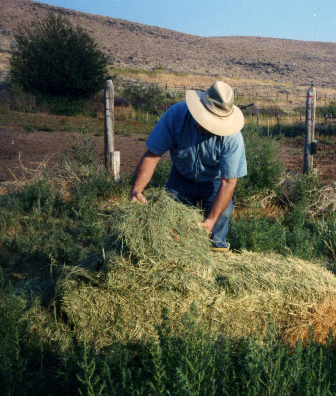 A Beginners Guide to Selecting Hay