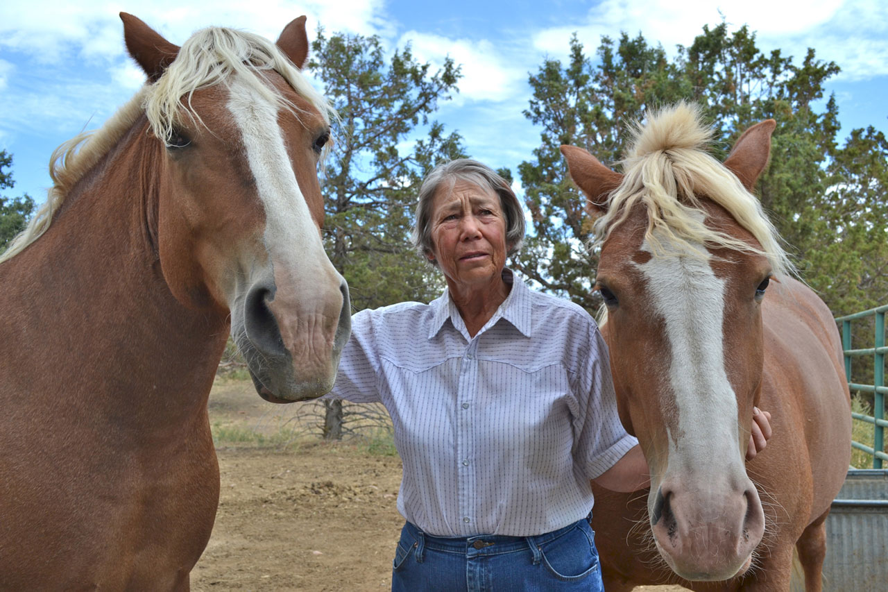 Joyce Sharp and Horses