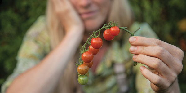 Inheriting Genetic Resilience in Tomatoes and Ourselves