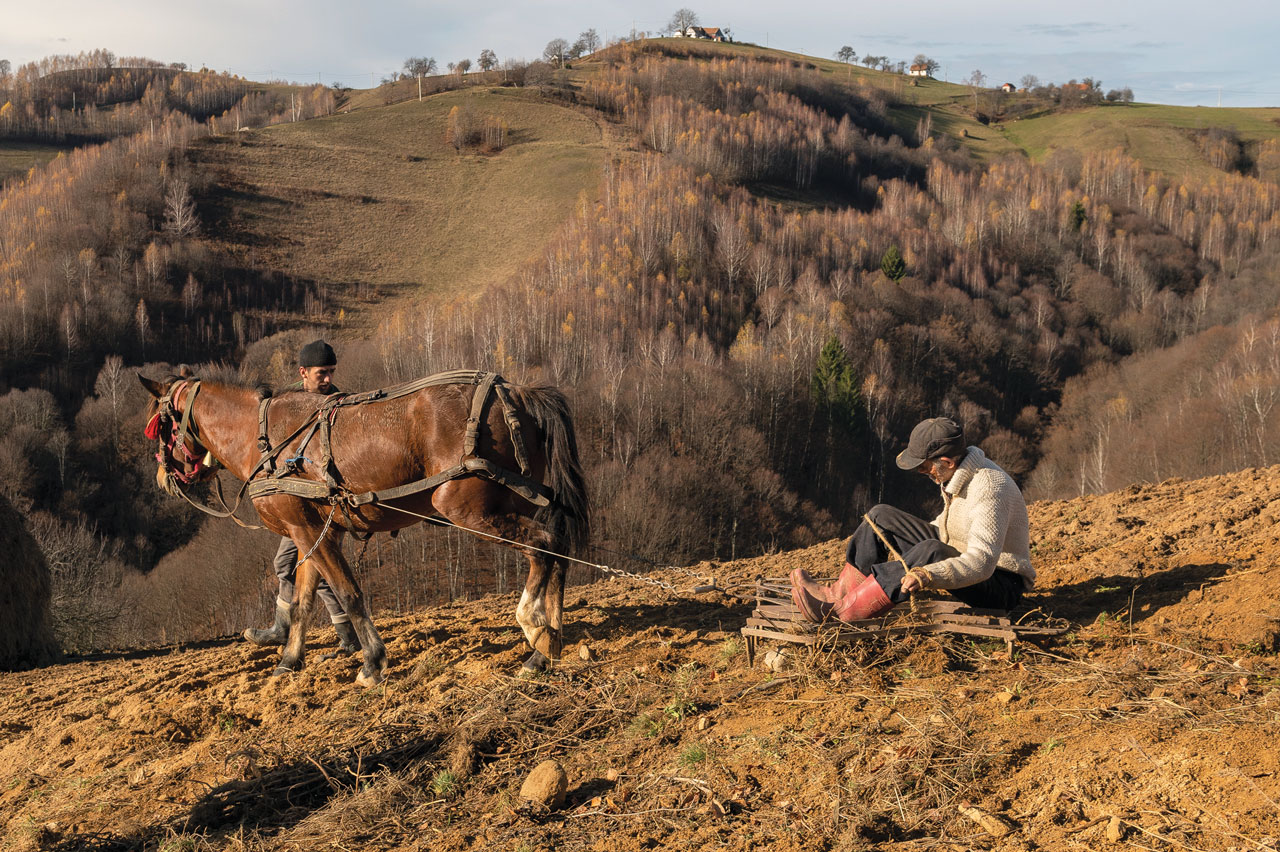 Small-scale Peasant Farming in Transylvania