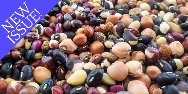 Grow Cowpeas for Food Resilience