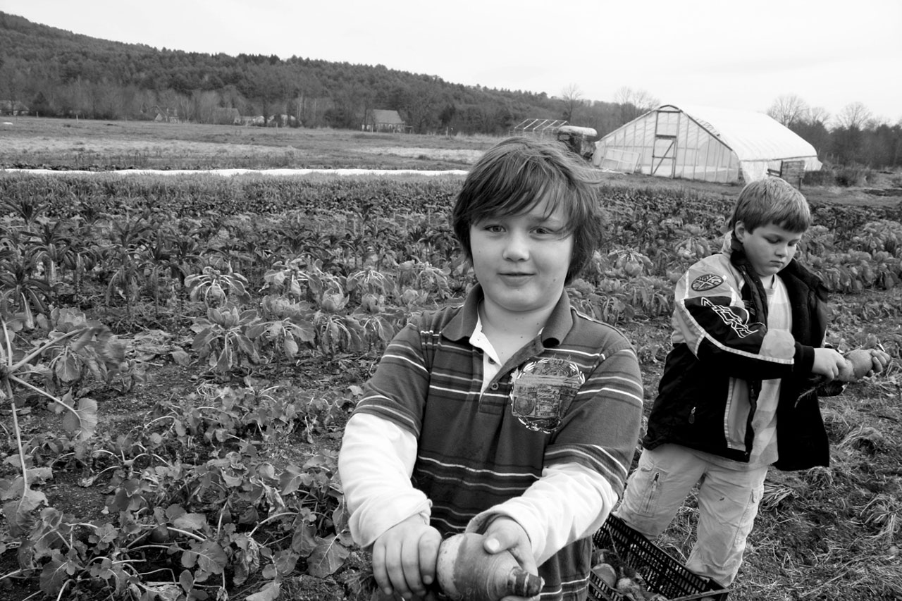 Farm to School Programs Take Root